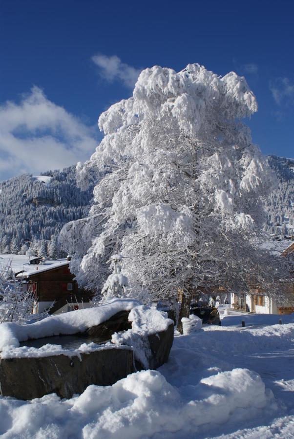 Ferien- Und Familienhotel Alpina アデルボーデン エクステリア 写真